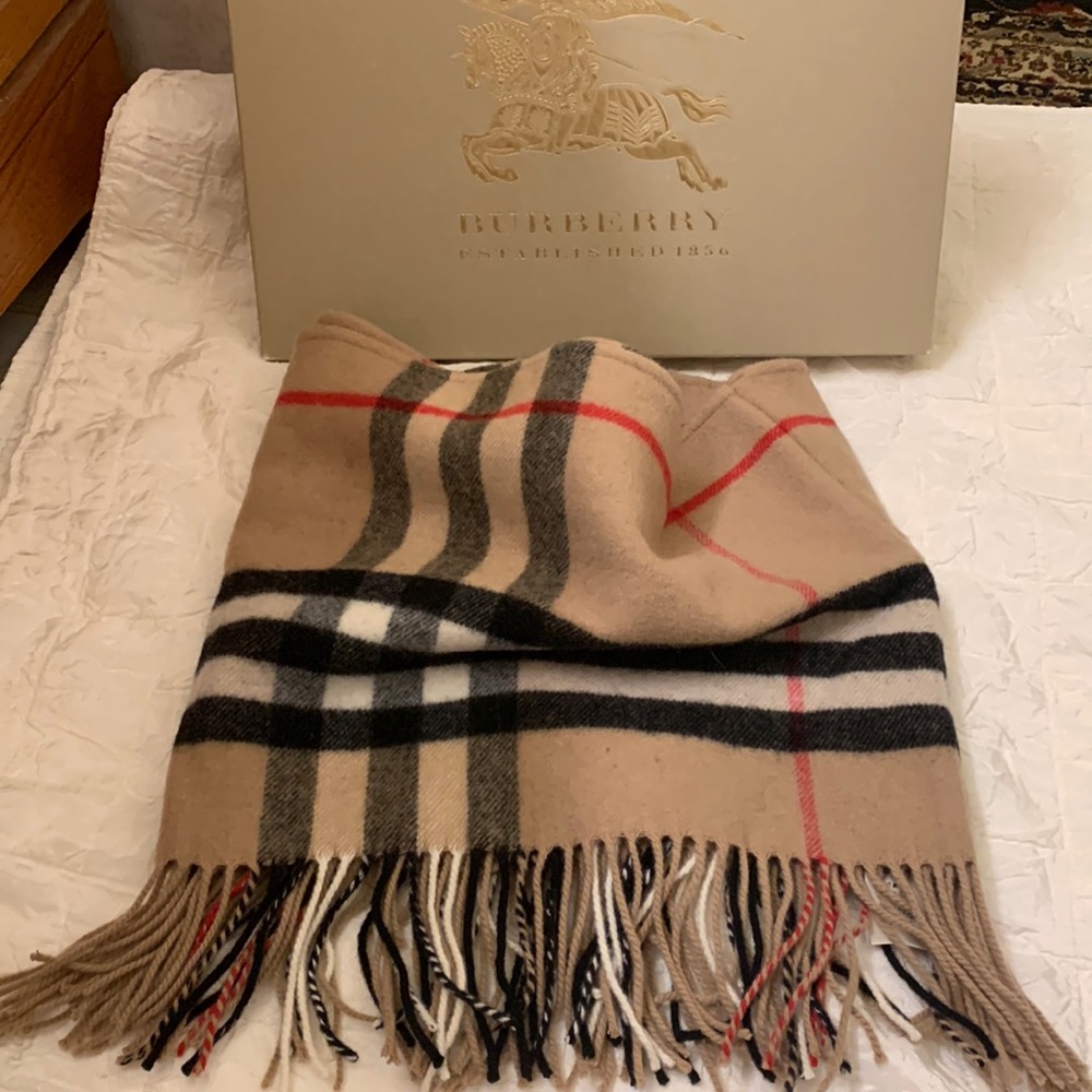 Burberry Infinity Scarf